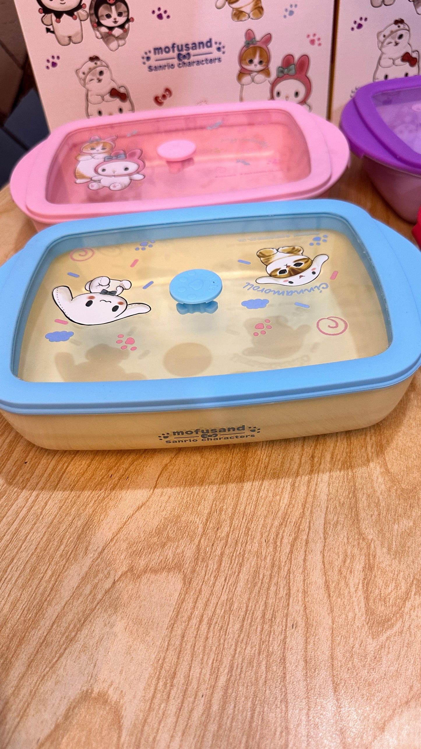 Airtight Glass Food Container 800ML